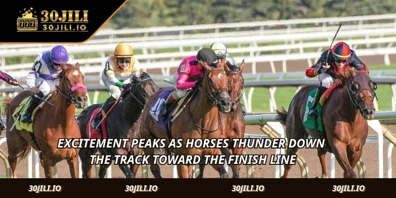 Excitement peaks as horses thunder down the track toward the finish line