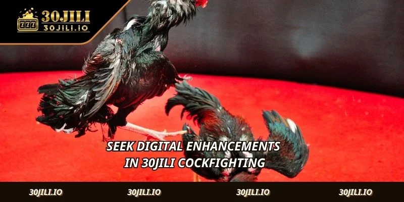 Seek digital enhancements in 30JILI Cockfighting