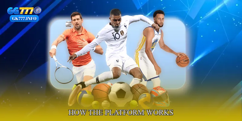 How the Platform Works